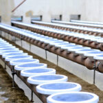 difusorbolhas-finasv3